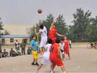 四川丰谷酒业VS浙江稠州金租直播