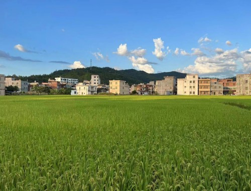 尼斯最值得一游的历史景点有哪些?,法国问题,马尔代夫旅游 尼斯最值得一游的历史景点有哪些?,法国问题,马尔代夫旅游